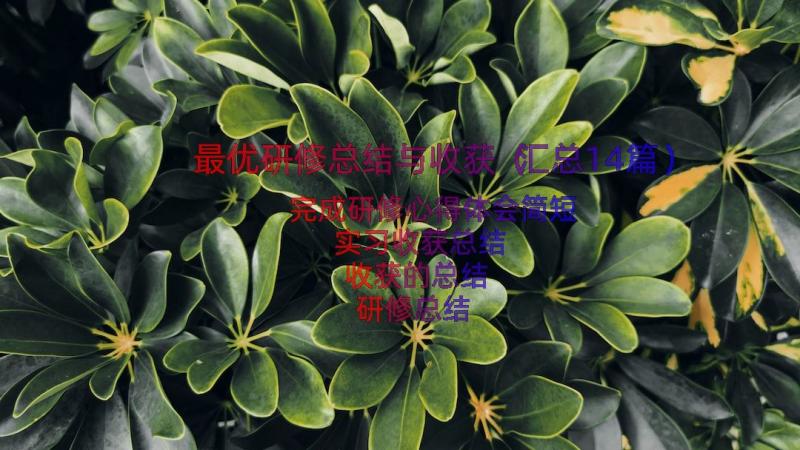 最优研修总结与收获（汇总14篇）