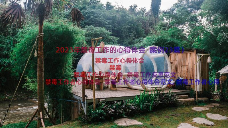 2023年禁毒工作的心得体会（案例23篇）