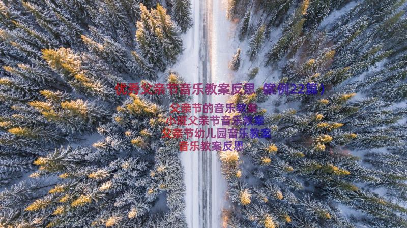 优秀父亲节音乐教案反思（案例22篇）