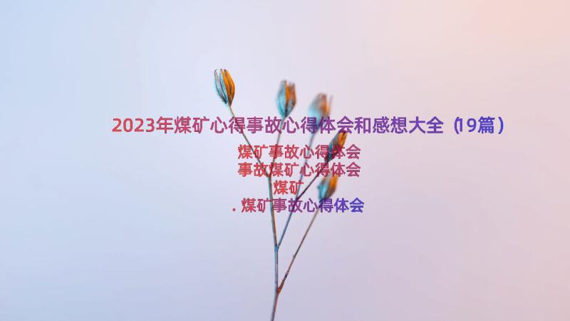 2023年煤矿心得事故心得体会和感想大全（19篇）