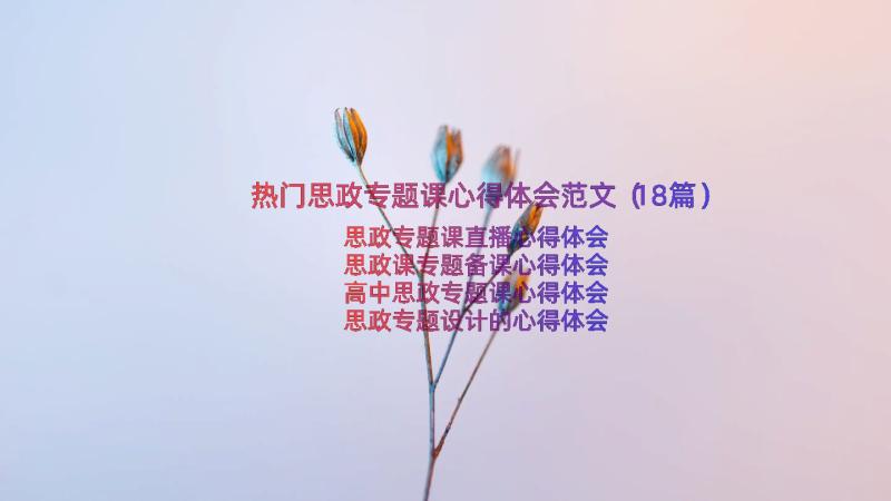 热门思政专题课心得体会范文（18篇）