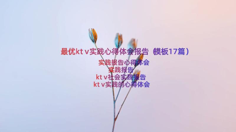 最优ktv实践心得体会报告（模板17篇）