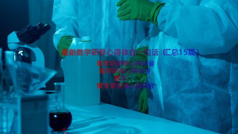 最新数学研修心得体会一句话（汇总15篇）