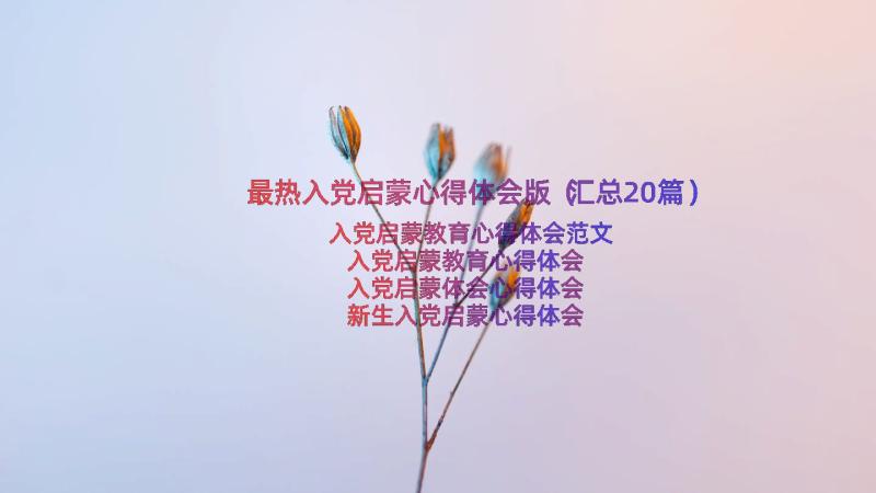 最热入党启蒙心得体会版（汇总20篇）