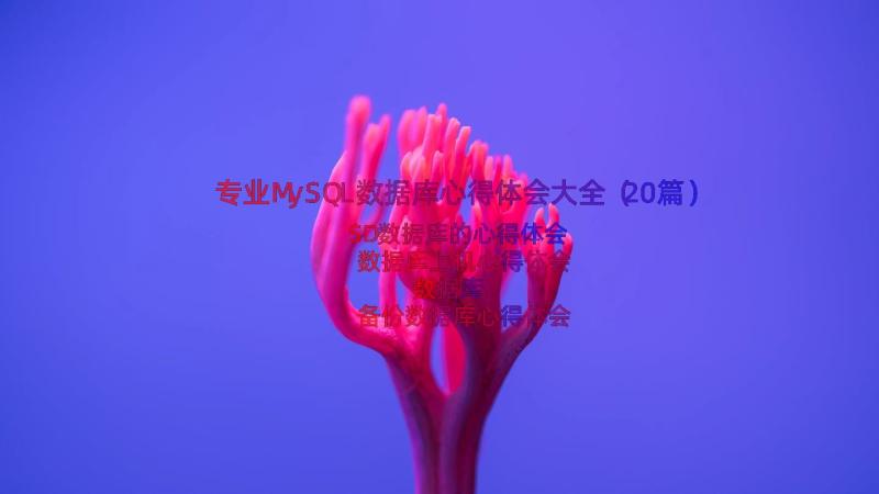 专业MySQL数据库心得体会大全（20篇）