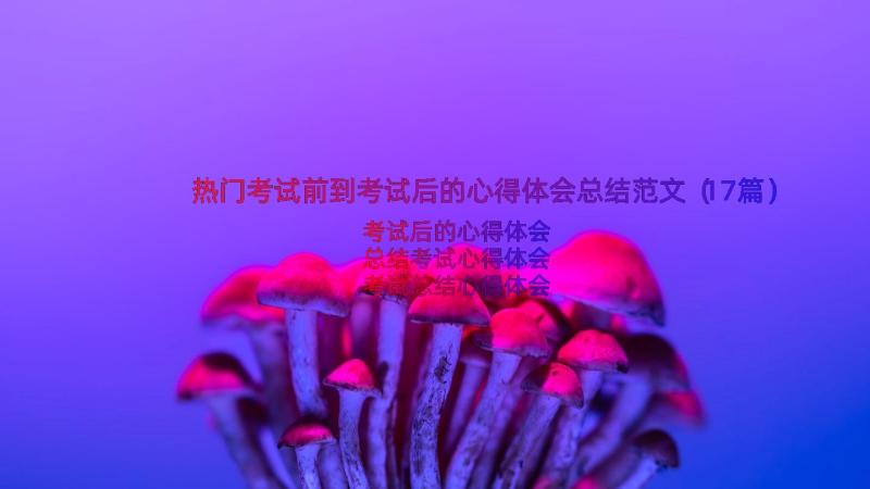 热门考试前到考试后的心得体会总结范文（17篇）