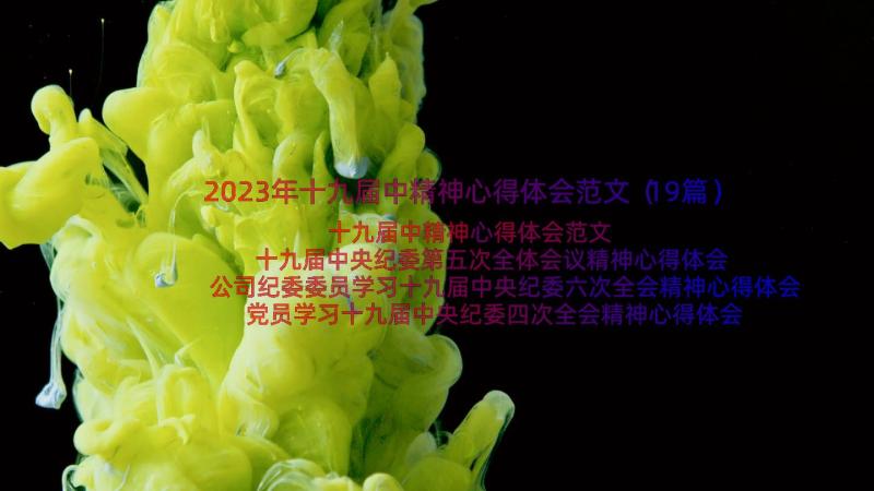 2023年十九届中精神心得体会范文（19篇）