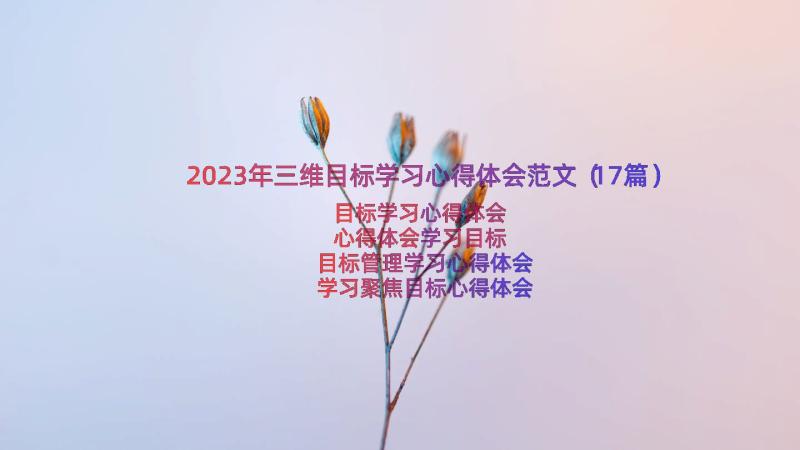 2023年三维目标学习心得体会范文（17篇）