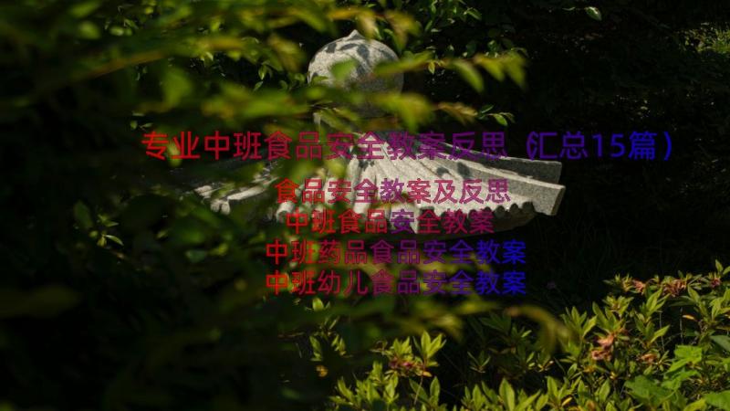 专业中班食品安全教案反思（汇总15篇）