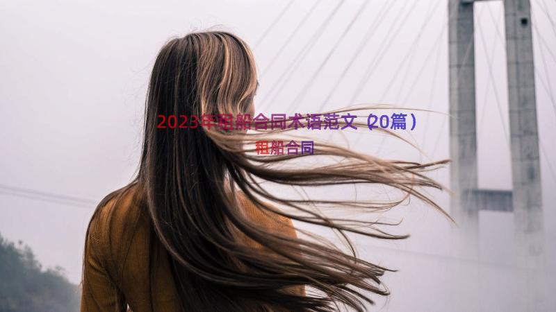 2023年租船合同术语范文（20篇）