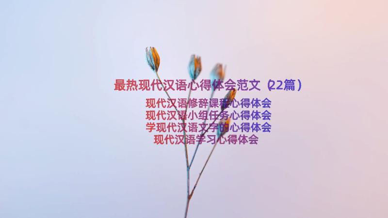 最热现代汉语心得体会范文（22篇）