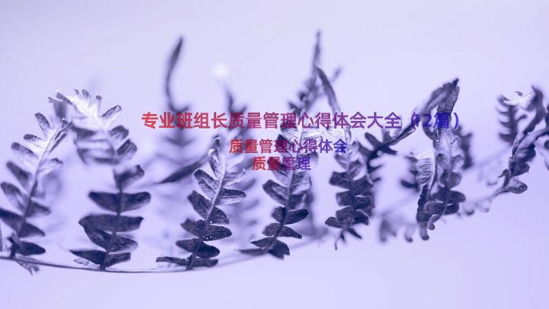 专业班组长质量管理心得体会大全（12篇）