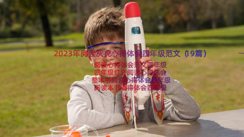 2023年阅读灰虎心得体会四年级范文（19篇）