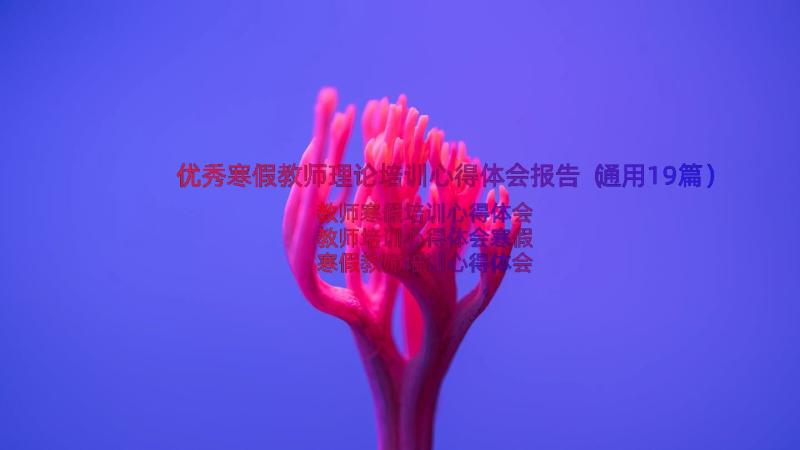 优秀寒假教师理论培训心得体会报告（通用19篇）