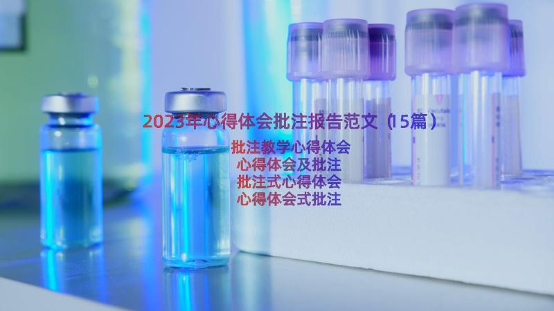 2023年心得体会批注报告范文（15篇）