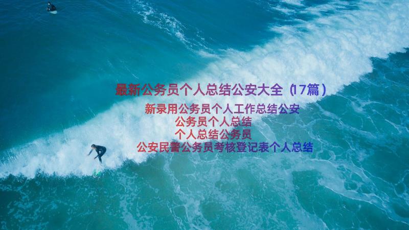 最新公务员个人总结公安大全（17篇）