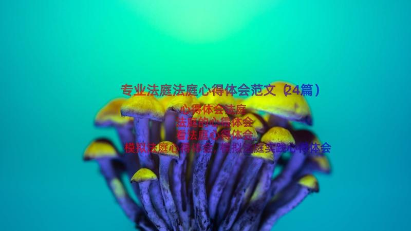 专业法庭法庭心得体会范文（24篇）