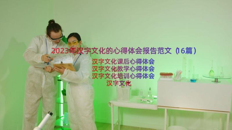 2023年汉字文化的心得体会报告范文（16篇）