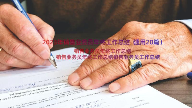 2023年销售业务员年终工作总结（通用20篇）