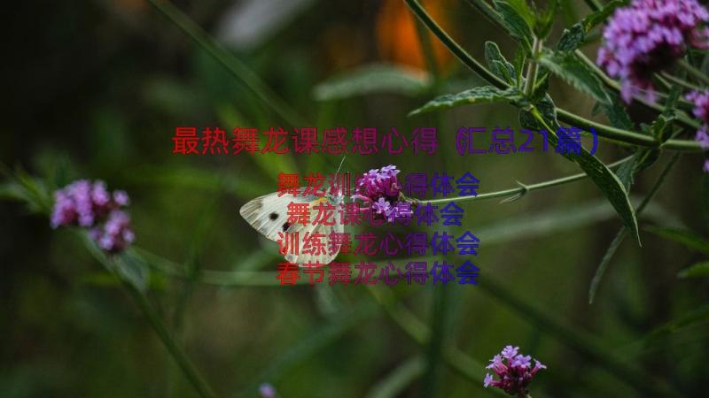 最热舞龙课感想心得（汇总21篇）