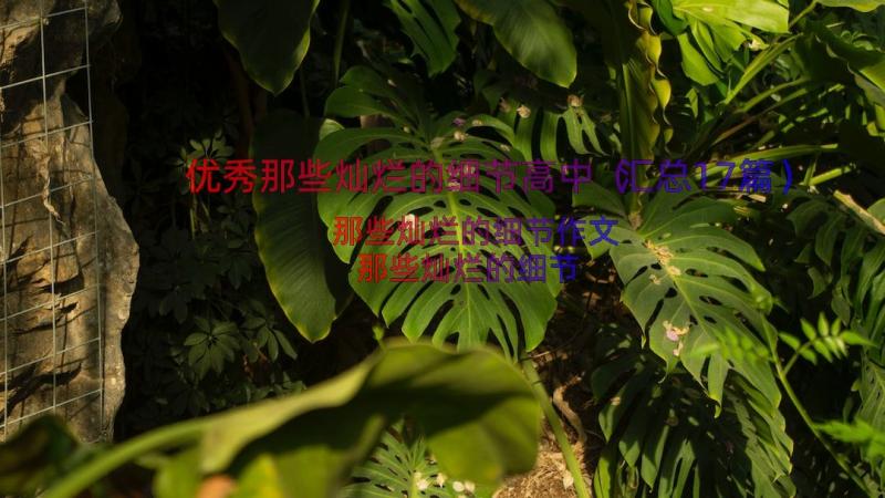 优秀那些灿烂的细节高中（汇总17篇）