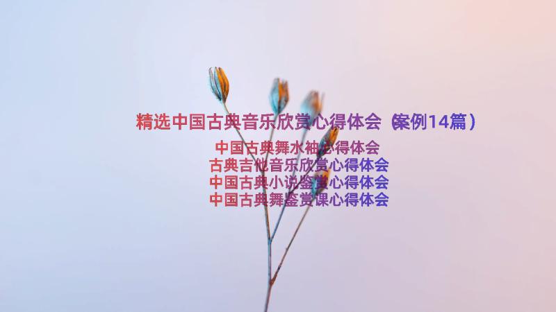 精选中国古典音乐欣赏心得体会（案例14篇）