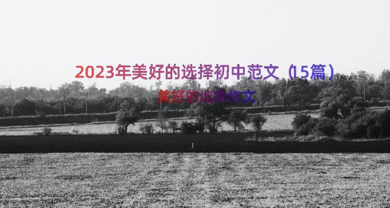 2023年美好的选择初中范文（15篇）