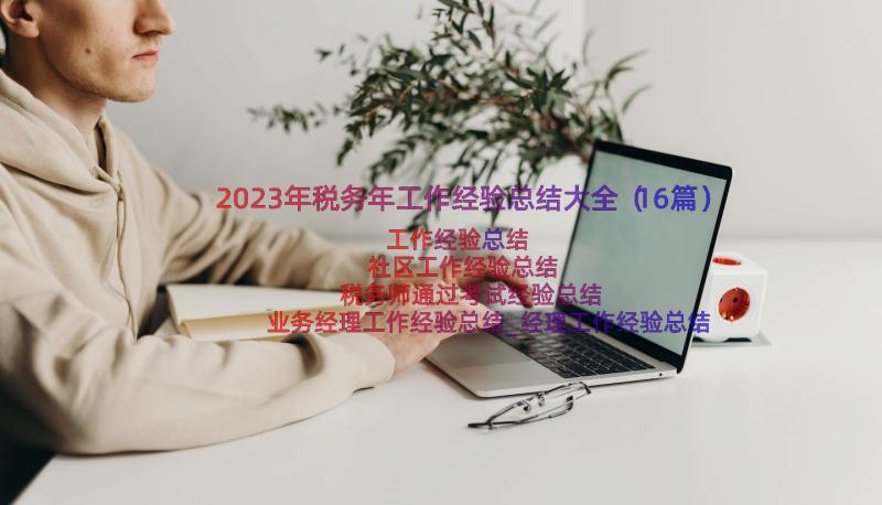 2023年税务年工作经验总结大全（16篇）