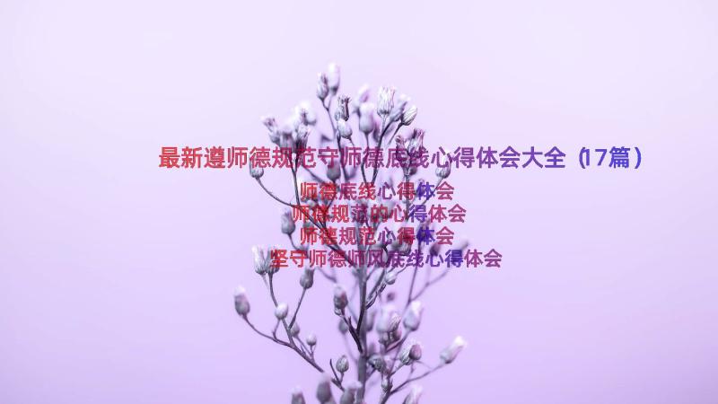 最新遵师德规范守师德底线心得体会大全（17篇）