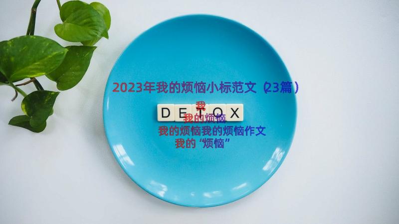 2023年我的烦恼小标范文（23篇）