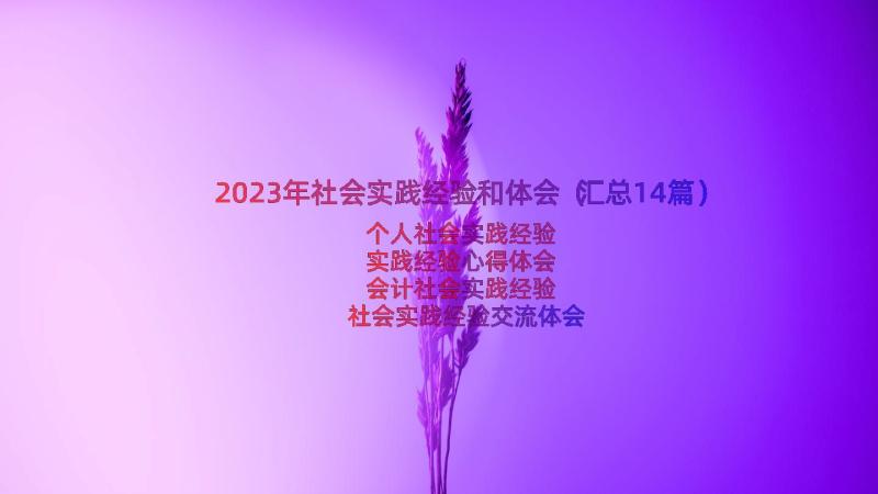 2023年社会实践经验和体会（汇总14篇）