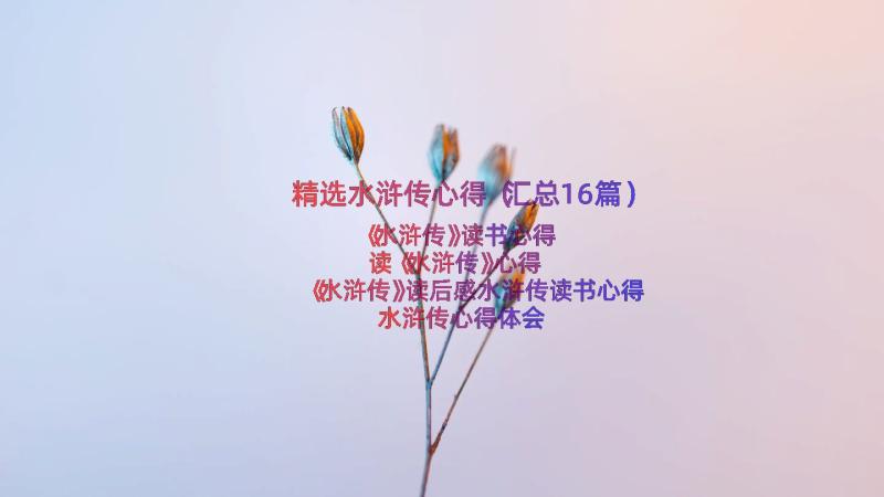 精选水浒传心得（汇总16篇）