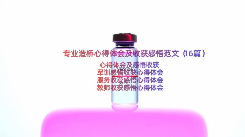 专业造桥心得体会及收获感悟范文（16篇）