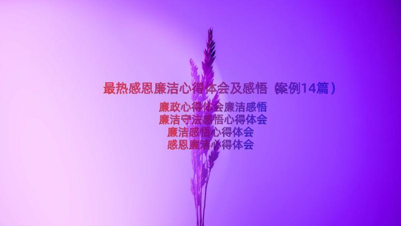 最热感恩廉洁心得体会及感悟（案例14篇）