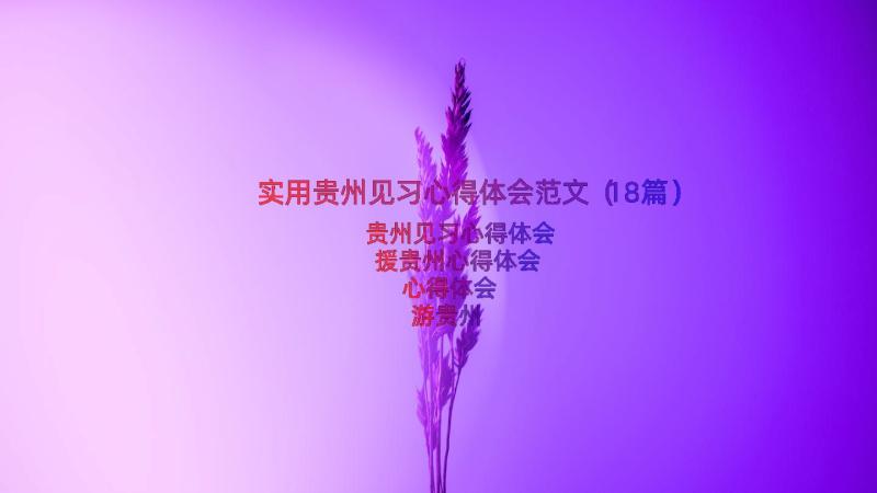 实用贵州见习心得体会范文（18篇）