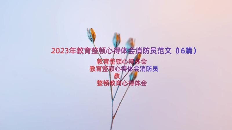 2023年教育整顿心得体会消防员范文（16篇）