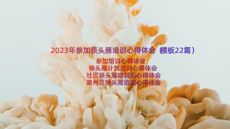2023年参加领头雁培训心得体会（模板22篇）