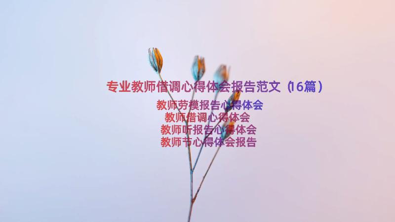 专业教师借调心得体会报告范文（16篇）