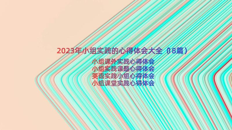 2023年小组实践的心得体会大全（18篇）