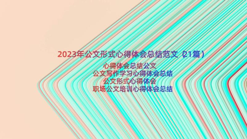 2023年公文形式心得体会总结范文（21篇）