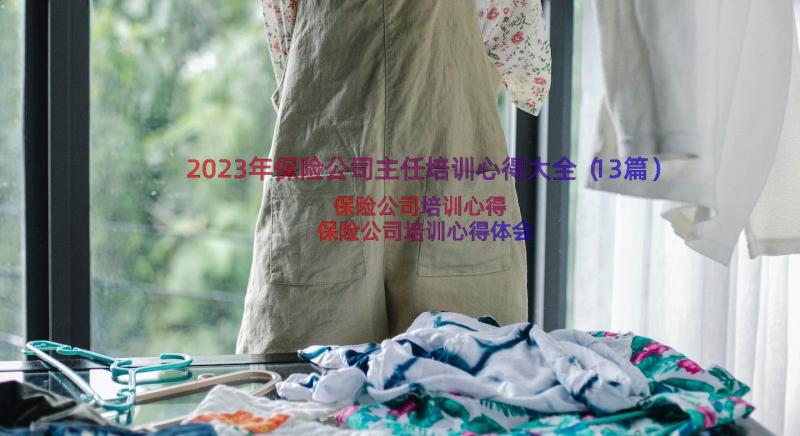 2023年保险公司主任培训心得大全（13篇）