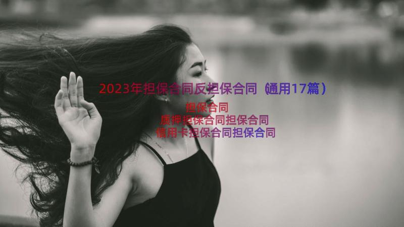 2023年担保合同反担保合同（通用17篇）