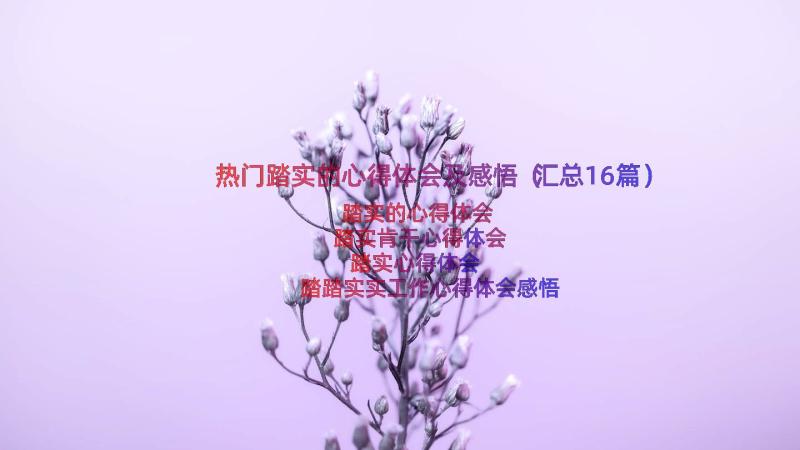 热门踏实的心得体会及感悟（汇总16篇）