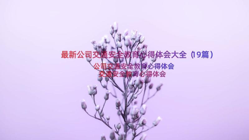 最新公司交通安全教育心得体会大全（19篇）