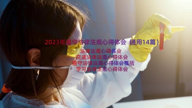 2023年遵守法律法规心得体会（通用14篇）