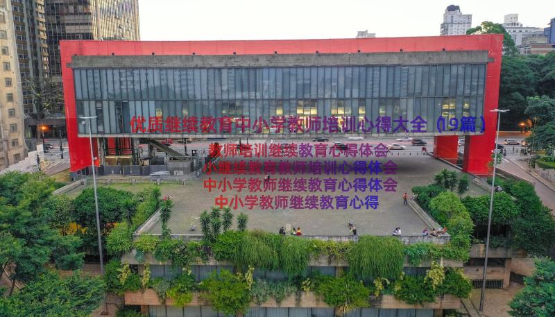 优质继续教育中小学教师培训心得大全（19篇）