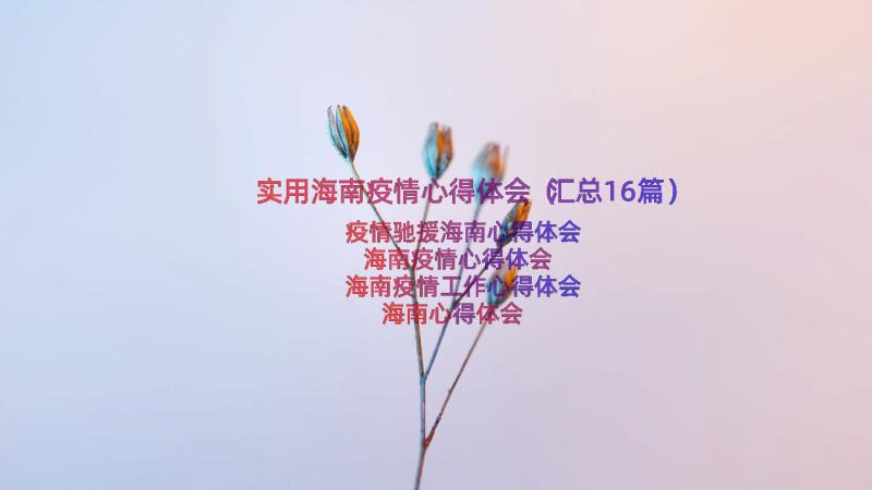 实用海南疫情心得体会（汇总16篇）