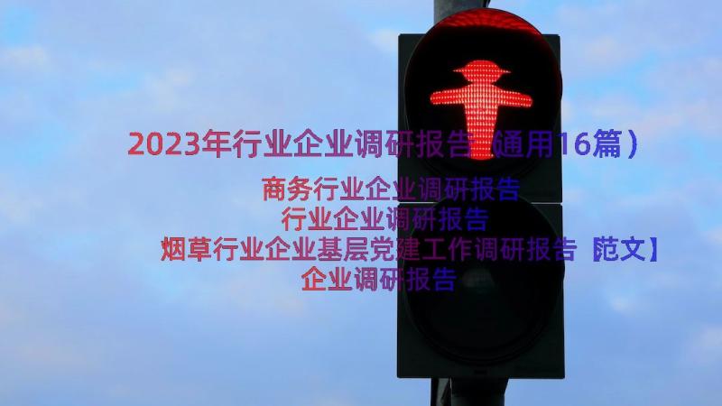 2023年行业企业调研报告（通用16篇）