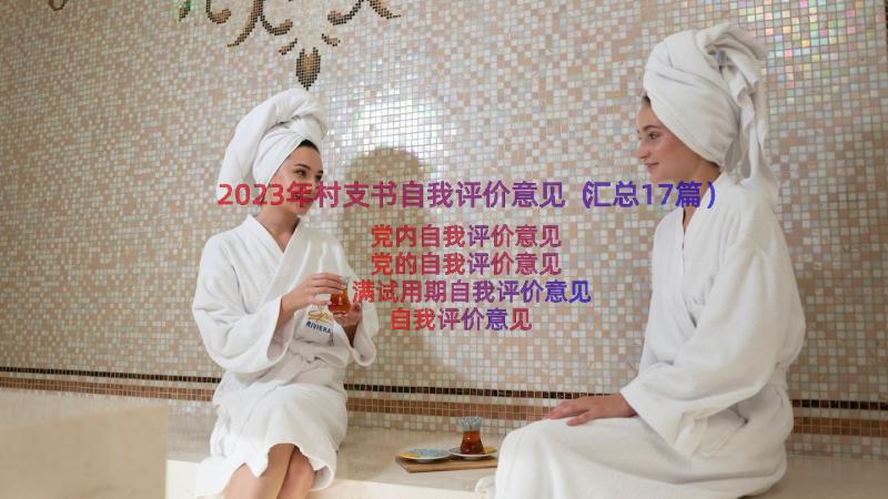 2023年村支书自我评价意见（汇总17篇）