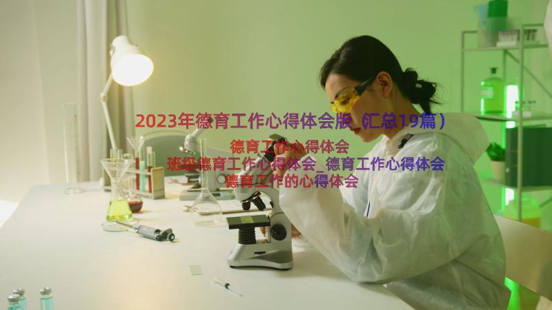 2023年德育工作心得体会版（汇总19篇）